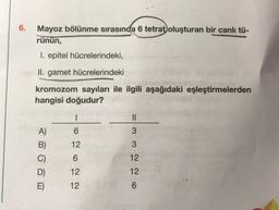 6.
Mayoz bölünme sırasında 6 tetrat oluşturan bir canlı tü-
rünün,
I. epitel hücrelerindeki,
II. gamet hücrelerindeki
kromozom sayıları ile ilgili aşağıdaki eşleştirmelerden
hangisi doğudur?
=
6
3
A)
B)
12
3
6
12
12
12
D)
E)
12
6