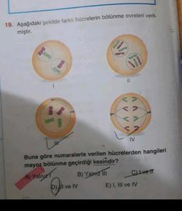 19. Aşağıdaki şekilde farklı hücrelerin bölünme evreleri veril-
miştir.
BD
11
8
< >
8
IV
Buna göre numaralarla verilen hücrelerden hangileri
mayoz bölünme geçirdiği kesindir?
A) Yalnızı
B) Yalarz III
C) Ivett
D) II ve IV
E) I, III ve IV