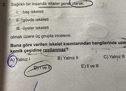 2. Sağlıklı bir insanda iskelet genel olarak;
I baş iskeleti
II. gövde iskeleti
Hì. üyeler iskeleti
olmak üzere üç grupta incelenir.
Buna göre verilen iskelet kısımlarından hangilerinde uzun
kemik çeşidine rastlanmaz?
(A) Yalnız!
B) Yalnız II
C) Yalnız III
DIVE I
E) II ve III