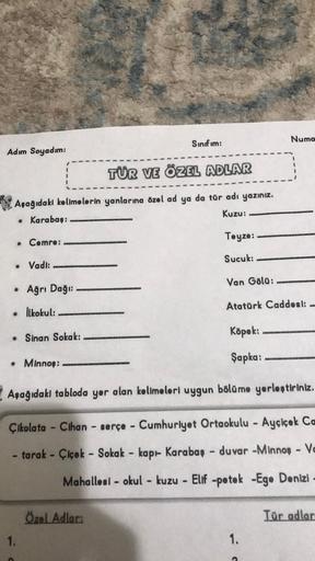 Sinif im:
Numa
Adım Soyadım:
TÜR VE ÖZEL ADLAR
1
Aşağıdaki kelimelerin yanlarına özel ad ya da tür adı yazınız.
• Karabas:
Kuzu:
Teyze:
• Cemre:
Sucuk:
• Vadi:
Van Gölo:
• Ağrı Dağı:
Atatürk Caddest:
• likokul:
Köpek:
• Sinan Sokak:
• Minnos:
Şapka:
Apağıd