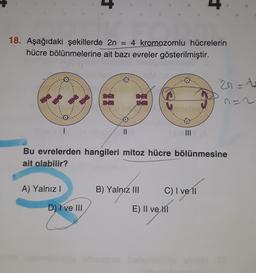 4
18. Aşağıdaki şekillerde 2n = 4 kromozomlu hücrelerin
hücre bölünmelerine ait bazı evreler gösterilmiştir.
2r=t
88
n=2
II
Bu evrelerden hangileri mitoz hücre bölünmesine
ait olabilir?
A) Yalnız!
B) Yalnız III
C) I ve 11
D) I ve III
E) II ve M