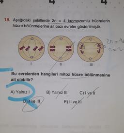 4
18. Aşağıdaki şekillerde 2n = 4 kromozomlu hücrelerin
hücre bölünmelerine ait bazı evreler gösterilmiştir.
2r=t
88
n=2
II
Bu evrelerden hangileri mitoz hücre bölünmesine
ait olabilir?
A) Yalnız!
B) Yalnız III
C) I ve 11
D) I ve III
E) II ve M
