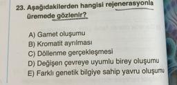 23. Aşağıdakilerden hangisi rejenerasyonla
üremede gözlenir?
A) Gamet oluşumu
B) Kromatit ayrılması
C) Döllenme gerçekleşmesi
D) Değişen çevreye uyumlu birey oluşumu
E) Farklı genetik bilgiye sahip yavru oluşumu