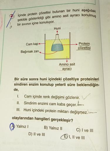 İçinde protein çözeltisi bulunan bir huni aşağıdaki
şekilde gösterildiği gibi amino asit ayracı konulmuş
bir sivinin içine konuluyor.
Huni
Cam kap
Protein
çözeltisi
Bağırsak zari
Amino asit
ayraci
Bir süre sonra huni içindeki çözeltiye proteinleri
sindiren