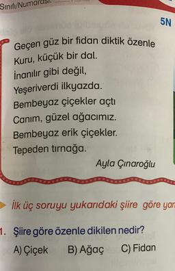 Sinifi/Num
5N
Geçen güz bir fidan diktik özenle
Kuru, küçük bir dal.
İnanılır gibi değil,
Yeşeriverdi ilkyazda.
Bembeyaz çiçekler açtı
Canım, güzel ağacımız.
Bembeyaz erik çiçekler.
Tepeden tırnağa.
Ayla Çınaroğlu
İlk üç soruyu yukarıdaki şiire göre yan
1. Şiire göre özenle dikilen nedir?
A) Çiçek B) Ağaç
C) Fidan
