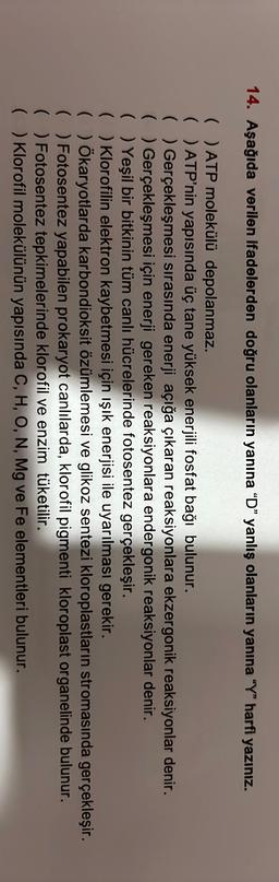14. Aşağıda verilen ifadelerden doğru olanların yanına “D” yanlış olanların yanına "Y" harfi yazınız.
( ATP molekülü depolanmaz.
( ) ATP'nin yapısında üç tane yüksek enerjili fosfat bağı bulunur.
( ) Gerçekleşmesi sırasında enerji açığa çıkaran reaksiyonlara ekzergonik reaksiyonlar denir.
( ) Gerçekleşmesi için enerji gereken reaksiyonlara endergonik reaksiyonlar denir.
( ) Yeşil bir bitkinin tüm canlı hücrelerinde fotosentez gerçekleşir.
( ) Klorofilin elektron kaybetmesi için ışık enerjisi ile uyarılması gerekir.
( ) Ökaryotlarda karbondioksit özümlemesi ve glikoz sentezi kloroplastların stromasında gerçekleşir.
( ) Fotosentez yapabilen prokaryot canlılarda, klorofil pigmenti kloroplast organelinde bulunur.
( ) Fotosentez tepkimelerinde klorofil ve enzim tüketilir.
( ) Klorofil molekülünün yapısında C, H, O, N, Mg ve Fe elementleri bulunur.
