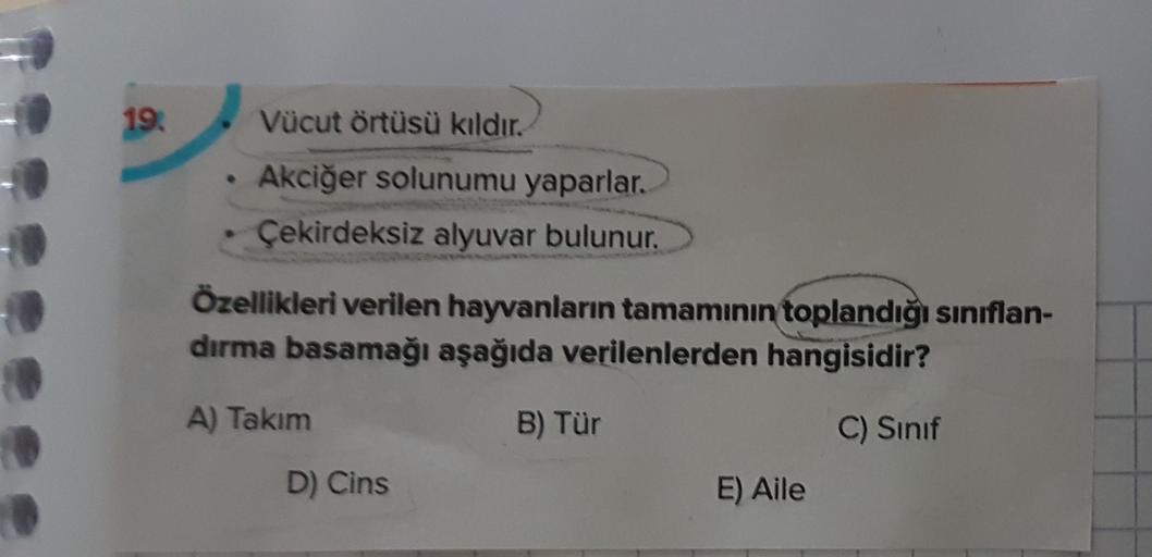 19.
Vücut örtüsü kıldır.
Akciğer solunumu yaparlar.
Çekirdeksiz alyuvar bulunur.
Özellikleri verilen hayvanların tamamının toplandığı sınıflan-
dırma basamağı aşağıda verilenlerden hangisidir?
A) Takım
B) Tür
C) Sinif
D) Cins
E) Aile