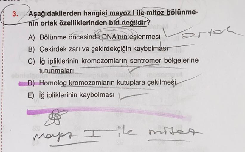 3.
Aşağıdakilerden hangisi mavoz I ile mitoz bölünme-
nin ortak özelliklerinden biri değildir?
A) Bölünme öncesinde DNA'nın eşlenmesi vertel
erroa
B) Çekirdek zarı ve çekirdekçiğin kaybolması
C) iğ ipliklerinin kromozomların sentromer bölgelerine
tutunmala