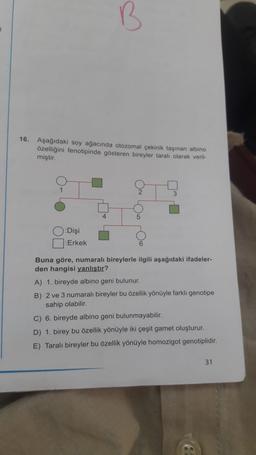 B
1
16.
Aşağıdaki soy ağacında otozomal çekinik taşınan albino
özelliğini fenotipinde gösteren bireyler tarali olarak veril-
miştir.
3
Dişi
Erkek
Buna göre, numaralı bireylerle ilgili aşağıdaki ifadeler-
den hangisi yanlıstır?
A) 1. bireyde albino geni bulunur.
B) 2 ve 3 numaralı bireyler bu özellik yönüyle farklı genotipe
sahip olabilir.
C) 6. bireyde albino geni bulunmayabilir.
D) 1. birey bu özellik yönüyle iki çeşit gamet oluşturur.
E) Taralı bireyler bu özellik yönüyle homozigot genotiplidir.
31
