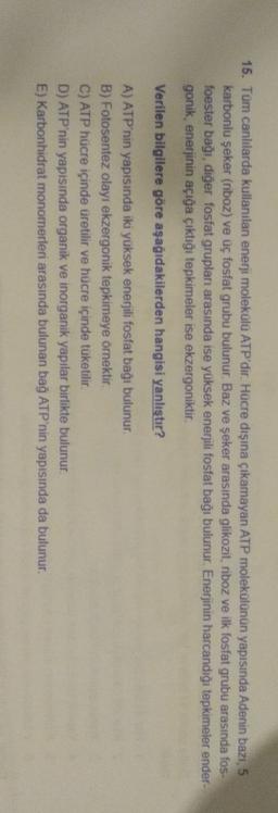 15. Tüm canlılarda kullanılan enerji molekula ATP'dir. Hücre dışına çıkamayan ATP molekülünün yapısında Adenin bazı 5
karbonlu şeker (riboz) ve üç fosfat grubu bulunur. Baz ve şeker arasında glikozit, riboz ve ilk fosfat grubu arasında fos-
foester baği, diğer fosfat grupları arasında ise yüksek enerjili fosfat bağı bulunur. Enerjinin harcandığı tepkimeler ender-
gonik, enerjinin açığa çıktığı tepkimeler ise ekzergoniktir.
Verilen bilgilere göre aşağıdakilerden hangisi yanlıştır?
A) ATP'nin yapısında iki yüksek enerjili fosfat bagi bulunur.
B) Fotosentez olayı ekzergonik tepkimeye örnektir.
C) ATP hücre içinde üretilir ve hücre içinde tüketilir
D) ATP'nin yapısında organik ve inorganik yapılar birlikte bulunur.
E) Karbonhidrat monomerleri arasında bulunan bağ ATP'nin yapısında da bulunur.
