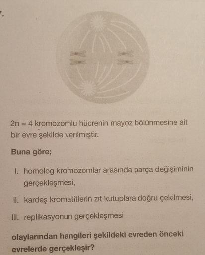 2n = 4 kromozomlu hücrenin mayoz bölünmesine ait
bir evre şekilde verilmiştir.
Buna göre;
1. homolog kromozomlar arasında parça değişiminin
gerçekleşmesi,
II. kardeş kromatitlerin zıt kutuplara doğru çekilmesi,
III. replikasyonun gerçekleşmesi
olaylarından