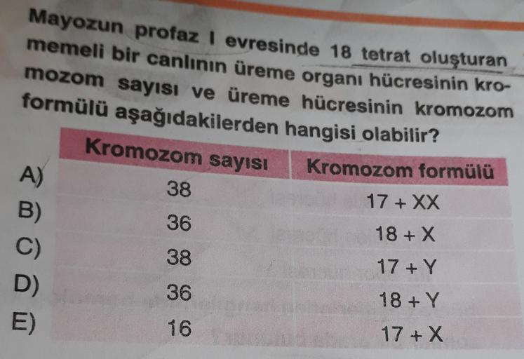 Mayozun profaz I evresinde 18 tetrat oluşturan
memeli bir canlının üreme organı hücresinin kro-
mozom sayısı ve üreme hücresinin kromozom
formülü aşağıdakilerden hangisi olabilir?
Kromozom sayısı
Kromozom formülü
A)
38
B)
36
C)
38
D)
16
17 + XX
18 + x
17+Y