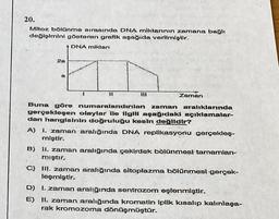 20.
Mitoz bölünme sırasında DNA miktarının zamana bağlı
değişimini gösteren grafik aşağıda verilmiştir.
DNA miktarı
2a
11
Zaman
Buna göre nurnaralandırılan zaman aralıklarında
gerçekleşen olaylar ile ilgili aşağıdaki açıklamalar-
dan hangisinin doğruluğu kesin değlidir?
A) 1. zaman aralığında DNA replikasyonu gerçekleş-
miştir.
B) II. zaman aralığında çekirdek bölünmesi ternamlan-
mıştır.
c) w. zaman aralığında sitoplazma bölünmesi gerçek-
leşmiştir.
D) I. zaman aralığında sentrazom eşlenmiştir.
E) II. zaman aralığında kromatin iplik kısalıp kalınlaşa-
rak kromozoma dönüşmüştür.
