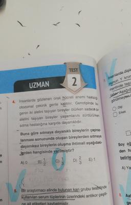 TEST
2.
UZMAN
7. Insanlarda disis
munun Y kron
mentinde taşı
ktore Aşağıd
görülmeyen
4. İnsanlarda gözlenen orak hücreli anemi hastalığı
otozomal çekinik genle kalıtılır. Genotipinde bu
genin iki alelini taşıyan bireyler ölürken sadece bir
alelini taşıyan bireyler yaşamlarını sürdürürken
sitma hastalığına karşıda dayanıklıdır.
O: Dis
Erkek
Buna göre sıtmaya dayanıklı bireylerin çapraz-
lanması sonucunda oluşan bireylerden sıtmaya
dayanıksız bireylerin oluşma ihtimali aşağıdaki-
lerden hangisinde verilmiştir?
1
1
2
A) 0
B) C) D)
E) 1
3
fo
Soy ağ
den hi
e
belirle
21
3
A) Ya
8. Aa
5. Bir araştırmacı elinde bulunan kan grubu tesbitinde
kullanılan serum tüplerinin üzerindeki antikor çeşiti-
ne ait etiketleri kaybetmistir.
n
ge