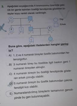 3. Aşağıdaki soyağacında X kromozomu üzerinde çeki-
nik bir genle kalıtılan özelliği fenotipinde gösteren bi-
reyler koyu renkli olarak verilmiştir.
: Dişi
: Erkek
2
3
XR XT XRY XTY
Buna göre, aşağıdaki ifadelerden hangisi yanlış-
tır?
A) 1, 2 ve 4 numaralı bireyler özellik bakımından he-
terozigottur.
B) 3 numaralı birey bu özellikle ilgili baskın geni 1
numaralı bireyden almıştır.
C) 4 numaralı bireyin bu özelliği fenotipinde göste-
ren erkek çocuğu olabilir.
5 numaralı bireyin bu özellik bakımından çekinik
fenotipli kızı olabilir.
E) Numaralandırılmış bireylerin tamamının genoti-
pinde bu gen bulunmayabilir.
