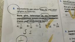 5. Aabbc@Dd genotiplit
kromozom üzerinde
2. Bezelyelerde sari tohum rengi (S)) yeşil tohum
rengine (s) baskındır.
Buna göre, bu bir
ği gamet çeşidi
sidir 2
A) 1
B) 2
SIGNER
Buna göre, heterozigot iki sarı bezelyenin
çaprazlanması sonucu oluşacak 4 bezelyeden
2'sinin yeşil olma olasılığı kaçtır?
1
1
9
27
9
B)
D) E)
64
16
16
128 256
-
A)
6. Kontrol ça
kilerden
S s
I
A) Genc
geng