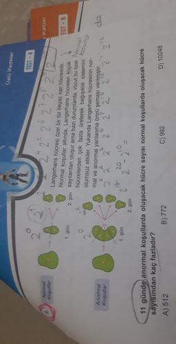 Üslü ifadeler
TEST - 4
2
4
Katlar
Normal
Koşullar
" 25 26 27 28 2729
EST - 6
1. gün
Langerhans hücresi özel bir tür beyaz kan hücresidir.
Normal koşullar altında, Langerhans hücreleri küçük
2. gün sayılardan oluşur ama bazı durumlarda, vücut bu özel
hücrelerden çok fazla üreterek bağışıklık sistemini
olumsuz etkiler. Yukarıda Langerhans hücresinin nor-
mal ve anormal yarılanma ömrü şeması verilmiştir.
27 20 2 2 2 2
2 2
Normal
kosullo
Anormal
Koşullar
da
16
1. gün
19 20 10
2 - 2 =
2. gün
11 günde anormal koşullarda oluşacak hücre sayısı normal koşullarda oluşacak hücre
sayısından kaç fazladır?
A) 512
B) 772
C) 992
D) 10248
