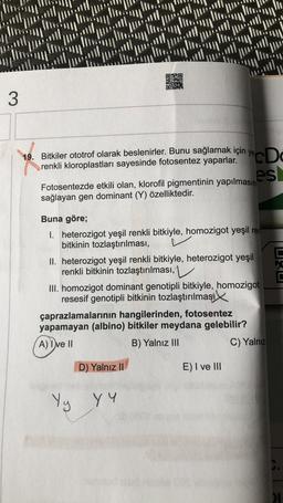 3
19. Bitkiler ototrof olarak beslenirler. Bunu sağlamak için ye
renkli kloroplastları sayesinde fotosentez yaparlar.
Do
Fotosentezde etkili olan, klorofil pigmentinin yapılmasın
es!
sağlayan gen dominant (Y) özelliktedir.
[
Buna göre;
1. heterozigot yeşil renkli bitkiyle, homozigot yeşil ren
bitkinin tozlaştırılması,
II. heterozigot yeşil renkli bitkiyle, heterozigot yeşil
renkli bitkinin tozlaştırılması,
III. homozigot dominant genotipli bitkiyle, homozigot
resesif genotipli bitkinin tozlaştırılması
çaprazlamalarının hangilerinden, fotosentez
yapamayan (albino) bitkiler meydana gelebilir?
A) I ve II
B) Yalnız III
C) Yalnız
D) Yalnız II
E) I ve III
Yy
Y Y
I