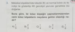 el
3.
Meksika köpeklerinde kılsızlık (K) ve normal killilik (k) fe-
notipi ile gösterilip KK genotipli yavrular genellikle ölü
doğarlar.
Buna göre, iki kılsız köpeğin çaprazlanmasından
canlı kılsız köpeklerin meydana gelme olasılığı ne-
dir?
1
1
1
A)
-10
2
B)
3
C)
3
D)
4.
E)
8
