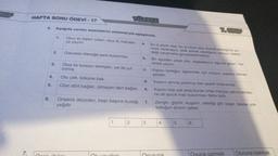 NF
HAFTA SONU ÖDEVİ - 17
TÜRKÇE
6. Aşağıda verilen atasözlerini anlamlarıyla eşleştiriniz.
7.SINIF
1.
Otuz iki dişten çıkan, otuz iki mahalle-
ye yayılır.
a.
2.
Olacakla öleceğe çare bulunmaz.
Şu iş şöyle olsa, bu iş böyle olsa diyerek istediğimiz so-
nuca varamayız, elde etmek istediğimiz sonucu istekle
değil çalışmakla gerçekleştirmeliyiz.
Bir ağızdan çıkan söz, başkalarının ağzına geçer, her
tarafa yayılır.
b.
3.
Olsa ile bulsayı ekmişler, yel ile yuf
bitmiş
C.
4.
Otu çek, köküne bak.
Olan dört bağlar, olmayan dert bağlar.
d.
5.
e.
Kişinin kimliğini öğrenmek için soyunu sopunu bilmek
gerekir.
insanın alnına yazılmış olan şeyler önlenemez.
Kişinin mali çok ama bunlar ortak maliysa yalnız kendisi-
ne ait azıcık mali bulunması daha iyidir.
Zengin, giyinir, kuşanır, istediği gibi yaşar, fakirse yok-
sulluğun acisini çeker.
6.
Ortaklık öküzden, başlı başına buzağı
yeğdir.
f.
1
2
3
3
4
LO
6
7.
nnununa
Oyuna gelmek
Oluruna bakmak