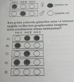 Anti A Anti Anti D
of
Çökelme var
O
O
Çökelme yok
Kan grubu yukarıda gösterilen anne ve babanın
aşağıda verilen kan gruplarından hangisine
sahip çocuklarının olması beklenemez?
Anti A Anti B Anti D
A)
B)
C)
D)
EO
o
