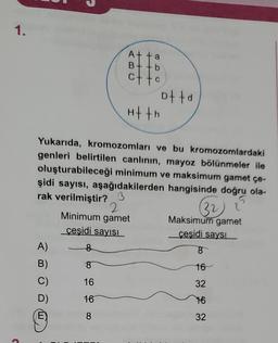 1.
A+
+
a
+
C
ofta
Htth
Yukarıda, kromozomları ve bu kromozomlardaki
genleri belirtilen canlının, mayoz bölünmeler ile
oluşturabileceği minimum ve maksimum gamet çe-
şidi sayısı, aşağıdakilerden hangisinde doğru ola-
rak verilmiştir?
2
32
Minimum gamet
Maksimum gamet
çeşidi sayısı
çeşidi saysı
A) 8
B)
8
16
C) 16
32
D) 16
16
E
8
32
oo