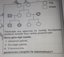 : Dişi
OL
: Erkek
Yukarıdaki soy ağacında bir özelliği fenotipinde
gösteren bireyler koyu renkle gösterilmiştir.
Buna göre ilgili özellik,
I. otozomal çekinik,
II. X'e bağlı çekinik,
III. Y kromozomu
genlerinden hangileri ile taşınmaktadır?
