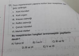 11. Duyu organlarımızın yapısına katılan bazı reseptörler aşa.
ğıda verilmiştir.
1. Koni hücreleri
II. Korti organi
III. Krause cisimciği
IV. Ruffini cisimciği
V. Çomak hücreleri
VI. Merkel diskleri
Bu reseptörlerden hangileri termoreseptör çeşitlerin-
dendir?
TY
B) I ve II
C) II ve IV
A) Yalnız IV
MateD) Il ve VIE) V ve VI