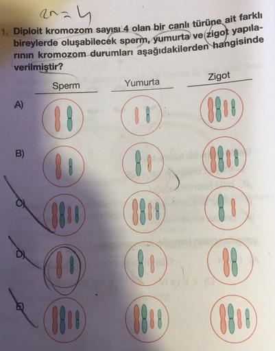 2024
1. Diploit kromozom sayısı 4 olan bir canlı türüne ait farklı
bireylerde oluşabilecek sperm, yumurta ve (zigot yapıla-
rinin kromozom durumları aşağıdakilerden hangisinde
verilmiştir?
Zigot
Sperm
Yumurta
A)
88
88
B)
81
80
10 PD (88
80
881 8800