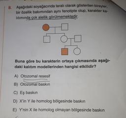 1 8. Aşağıdaki soyağacında taralı olarak gösterilen bireyler,
bir özellik bakımından aynı fenotipte olup, karakter ka-
litiminda çok alellik görülmemektedir.
Buna göre bu karakterin ortaya çıkmasında aşağı-
daki kalıtım modellerinden hangisi etkilidir?
A) Otozomal resesif
B) Otozomal baskın
C) Eş baskın
D) X'in Y ile homolog bölgesinde baskın
E) Y'nin X ile homolog olmayan bölgesinde baskın
