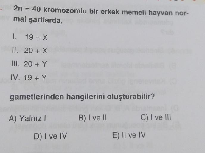 2n = 40 kromozomlu bir erkek memeli hayvan nor-
mal şartlarda,
I. 19 + X
II. 20 + x
III. 20 + Y
IV. 19 + Y
gametlerinden hangilerini oluşturabilir?
A) Yalnız
B) I ve 11
C) I ve III
D) I ve IV
E) II ve IV