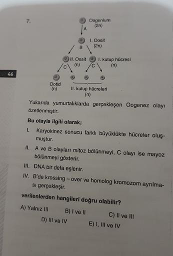 Oogonium
(2n)
1. Oosit
(2n)
B
II. Oosit
(n)
I. kutup hücresi
46
Ootid
(n) II. kutup hücreleri
(n)
Yukarıda yumurtalıklarda gerçekleşen Oogenez olayı
özetlenmiştir.
Bu olayla ilgili olarak;
I. Karyokinez sonucu farklı büyüklükte hücreler oluş-
muştur.
II. A