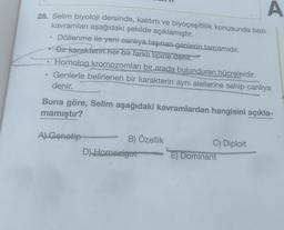 A
28. Selim biyoloji dersinde, kalıtım ve biyoçeşitlilik konusunda bazı
kavramları aşağıdaki şekilde açıklamıştır.
Döllenme ile yeni-canliya taşınan genlerin tamamıdır.
Bir karakterin her bir farklı tipine denir.
Homolog kromozomları bir arada bulunduran hücrelerdir.
Genlerle belirlenen bir karakterin aynı alellerine sahip canlıya
denir.
Buna göre, Selim aşağıdaki kavramlardan hangisini açıkla-
mamıştır?
A) Genotip
B) Özellik
D) Homozigot
C) Diploit
E) Dominant
