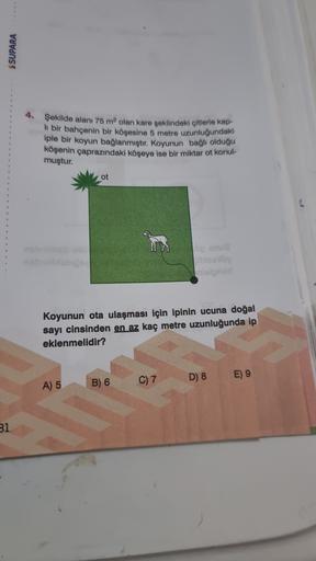 SSUPARA
4. Şekilde alanı 75 m2 olan kare şeklindeki çitlerle kap-
li bir bahçenin bir köşesine 5 metre uzunluğundaki
iple bir koyun bağlanmıştır
. Koyunun bağlı olduğu
köşenin çaprazındaki köşeye ise bir miktar ot konul-
muştur.
ot
Koyunun ota ulaşması içi