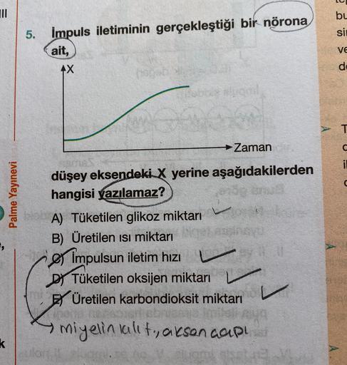 TIL
bu
si
5. impuls iletiminin gerçekleştiği bir nörona
ait,
VE
4X
d
T
Zaman
il
Palme Yayınevi
düşey eksendeki X yerine aşağıdakilerden
hangisi yazılamaz?
A) Tüketilen glikoz miktarı
B) Üretilen isi miktarı
e Impulsun iletim hizi
Di Tüketilen oksijen mikta