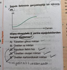 TIL
bu
si
5. impuls iletiminin gerçekleştiği bir nörona
ait,
VE
4X
d
T
Zaman
il
Palme Yayınevi
düşey eksendeki X yerine aşağıdakilerden
hangisi yazılamaz?
A) Tüketilen glikoz miktarı
B) Üretilen isi miktarı
e Impulsun iletim hizi
Di Tüketilen oksijen miktarı
Üretilen karbondioksit miktarı
miyelin Kalit, aksencap
k