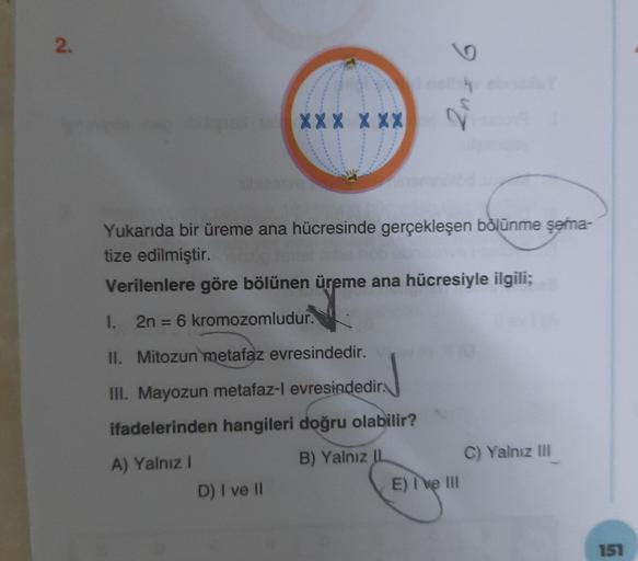 2.
Isuz
XXX XXX
Yukarıda bir üreme ana hücresinde gerçekleşen bölünme şema-
tize edilmiştir.
Verilenlere göre bölünen üreme ana hücresiyle ilgili;
I. 2n = 6 kromozomludur.
II. Mitozun metafaz evresindedir.
III. Mayozun metafaz-l evresindedir.
ifadelerinden