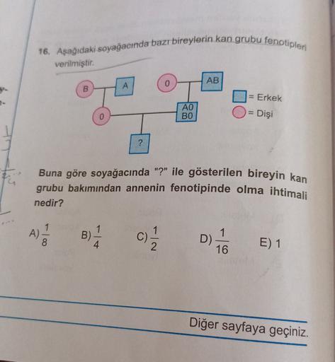 16. Aşağıdaki soyağacında bazı bireylerin kan grubu fenotipleri
verilmiştir.
AB
B
A
= Erkek
AO
BO
=
Dişi
?
Buna göre soyağacında "?" ile gösterilen bireyin kan
grubu bakımından annenin fenotipinde olma ihtimali
nedir?
A)
1
1
B)
C)
00
1
D)
16
E) 1
Diğer say