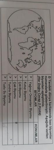 2) Yandaki dünya haritasında bazı biyomlar
numaralarla gösterilmiştir. Aşağıda verilen
biyomları eşleştiriniz.
(Her Doğru Cevap 2 PUAN)
BİYOMLAR
KONUMLAR
Yağmur Ormanları Biyomu
› Kutup Biyomu
> Çöl Biyomu
> Çalı Biyomu
Tundra Biyomu
Tuzlu Su Biyomu
6