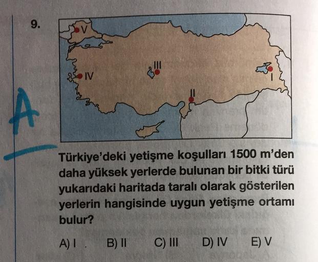 9.
SIV
A
Türkiye'deki yetişme koşulları 1500 m'den
daha yüksek yerlerde bulunan bir bitki türü
yukarıdaki haritada taralı olarak gösterilen
yerlerin hangisinde uygun yetişme ortamı
bulur?
A)
B) 11
C) III
D) IV
E) V