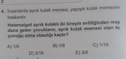 2.
4. Insanlarda ayrık kulak memesi, yapışık kulak memesin
baskındır.
Heterozigot ayrık kulaklı iki bireyin evliliğinden mey
dana gelen çocukların, ayrık kulak memesi olan ke
çocuğu olma olasılığı kaçtır?
A) 1/4
B) 1/8
C) 1/16
D) 3/16
E) 3/8
