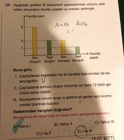 20. Aşağıdaki grafikte iki bezelyenin çaprazlanması sonucu elde
edilen tohumların fenotip çeşitleri ve oranları verilmiştir.
A Fenotip orani
Aaob
Aaob
9
3.3
3
1
Fenotip
çeşidi
Sari Yeşil Sari Yeşil
düzgün düzgün buruşuk buruşuk
Buna göre,
I. Çaprazlanan bezelyeler her iki karakter bakımından da he-
terozigottur.
II. Çaprazlama sonucu oluşan tohumlar en fazla 12 farklı ge-
notipe sahip olabilir.
III. Bezelyelerde tohum rengi ve şekline ait genler aynı kromo-
zomlar üzerinde bulunur.
ifadelerinden hangileri doğrudur?
(Bezelyelerde sarı tohum rengi ve düzgün tohum şekli genleri baskındır.)
C) Yalnız III
A) Yalnız!
B) Yalnız II
D) I ve II
E) I ve III
TEST BİTTİ.