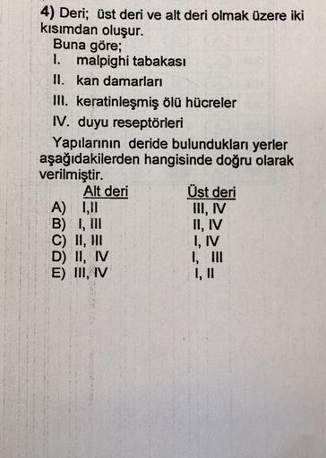 4) Deri; üst deri ve alt deri olmak üzere iki
kisimdan oluşur.
Buna göre;
1. malpighi tabakası
II. kan damarları
III. keratinleşmiş ölü hücreler
IV. duyu reseptörleri
Yapılarının deride bulundukları yerler
aşağıdakilerden hangisinde doğru olarak
verilmişti