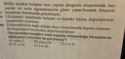 S13)İç kulakta bulunan bazı yapılar dengenin oluşmasında, bazı
yapılar ise sesin algılanmasında görev yapar. İnsanda dengenin
e bozulması durumunda gerçekleşen;
in l-Kulaktaki kanallarda bulunan sıvılardaki basınç değişimlerinin
reseptörleri uyarması.
na II-Reseptörlerin bağlı olduğu duyu nöronlarında impuls oluşması
III-İmpulsların beyincikte değerlendirilmesi
Olaylarından hangileri sesin kulakta oluşturduğu titreşimlerin
algılanması sırasında da gerçekleşir?
A) yalnız I B) yalnız H C) I ve II
D) II ve III E) I-II-III