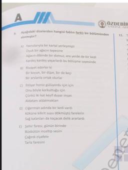 A II
8 ÖZDEBİR
VIVINLAR
Aşağıdaki dizelerden hangisi fablin farklı bir bölümünden
11.
alinmiştir?
A) Yavrulanyla bir kartal yerleşmişti
Oyuk biragacin tepesine
Anacin dibinde bir domuz, ara yerde de bir kedi
Kardeş kardes yaşarlardı bu bölüme sayesinde
B) Rivayet ederler ki
Bir koyun, bir dive, bir de keçe
Bir arslanla ortak olurlar
C) ihtiyar horoz gülüyordu için için
Onu boyle korkuttuğu için
Çünkü iki kat keyif duyar insan
Aldatan aldatmaktan
D) Ciperman adında bir kedi vardı
Kokune librit suyu dökmüştü farelerin
Sa kalanlan da kaçacak delik ararlardi
E) Sehir faresi, günün birinde
Busbütün inceltip sesini
Cagirdi ziyarete
Tarla faresini
ene