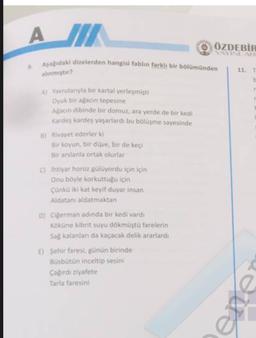 A II
8 ÖZDEBİR
VIVINLAR
Aşağıdaki dizelerden hangisi fablin farklı bir bölümünden
11.
alinmiştir?
A) Yavrulanyla bir kartal yerleşmişti
Oyuk biragacin tepesine
Anacin dibinde bir domuz, ara yerde de bir kedi
Kardeş kardes yaşarlardı bu bölüme sayesinde
B) Rivayet ederler ki
Bir koyun, bir dive, bir de keçe
Bir arslanla ortak olurlar
C) ihtiyar horoz gülüyordu için için
Onu boyle korkuttuğu için
Çünkü iki kat keyif duyar insan
Aldatan aldatmaktan
D) Ciperman adında bir kedi vardı
Kokune librit suyu dökmüştü farelerin
Sa kalanlan da kaçacak delik ararlardi
E) Sehir faresi, günün birinde
Busbütün inceltip sesini
Cagirdi ziyarete
Tarla faresini
ene
