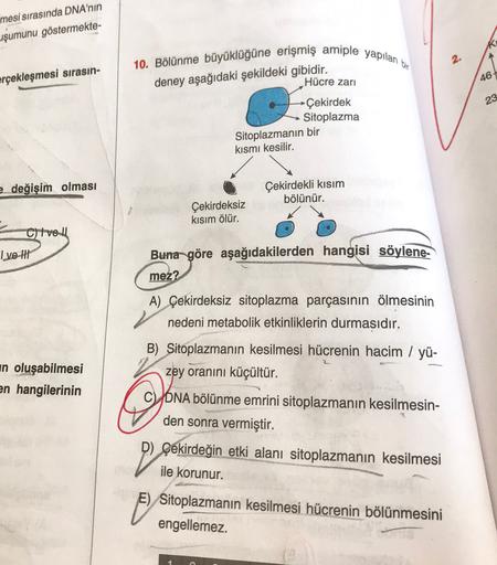 mesi sırasında DNA'nın
uşumunu göstermekte-
10. Bölünme büyüklüğüne erişmiş amiple yapılan
erçekleşmesi sırasın-
46
deney aşağıdaki şekildeki gibidir.
Hücre zari
23
→Çekirdek
Sitoplazma
Sitoplazmanın bir
kısmı kesilir.
e_değişim olması
Çekirdekli kısım
böl