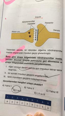 Impuls
9.
Nörotransmitter
maddeler
Reseptör
Dendrit
Akson ucu
Yukarıdaki şekilde, bir nörondan diğerine nörotransmitter
madde salgılanarak impulsun geçişi gösterilmiştir.
Buna göre sinaps bölgesindeki nörotransmitter madde
yeniden aksonun sinaptik yumrusuna geri dönmezse ve
sinaps bölgesindeki enzimlerle parçalanmazsa,
1. diğer nöronun dendrit zarnda aynı impulsun tekrar tekrar
oluşması,
Il bir sonraki impulsun geçişinin engellenmesi
III. farklı impulsların geçişinin kolaylaştırılması
durumlarından hangileri ortaya çıkabilir?
A) Yalnız
B) Yalnız II
D) I vell
C) Yalnız III
E) I, II ve III
1.
2.
.
3.
4.
5.
6.
B
7.
E
D C
8.
A
9.
B
C
LEID