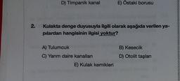 D) Timpanik kanal
E) Östaki borusu
2.
Kulakta denge duyusuyla ilgili olarak aşağıda verilen ya-
pilardan hangisinin ilgisi yoktur?
A) Tulumcuk
B) Kesecik
D) Otolit taşları
C) Yarım daire kanalları
E) Kulak kemikleri