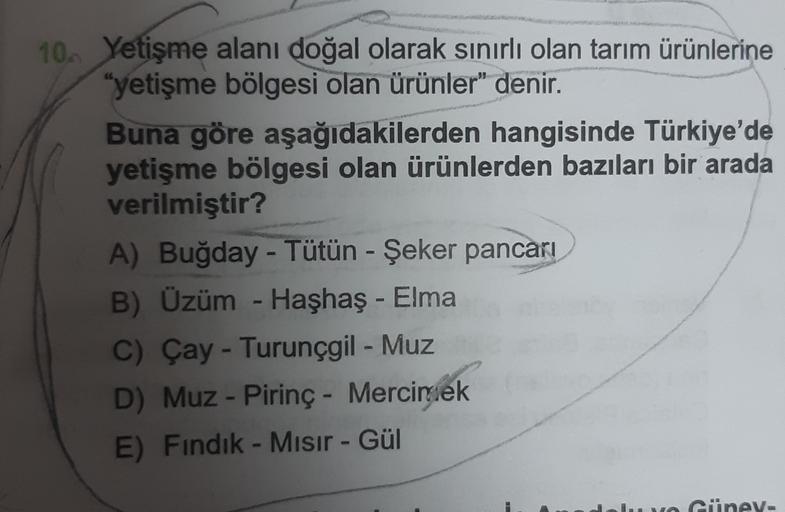 10. Yetişme alanı doğal olarak sinirli olan tarım ürünlerine
"yetişme bölgesi olan ürünler" denir.
Buna göre aşağıdakilerden hangisinde Türkiye'de
yetişme bölgesi olan ürünlerden bazıları bir arada
verilmiştir?
A) Buğday - Tütün - Şeker pancarı
B) Üzüm - Haşhaş - Elma
C) Çay - Turunçgil - Muz
D) Muz - Pirinç - Mercimek
E) Fındık - Mısır - Gül
Günev.
